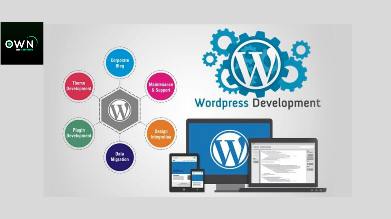 Wordpress Web Design Packages in 2025